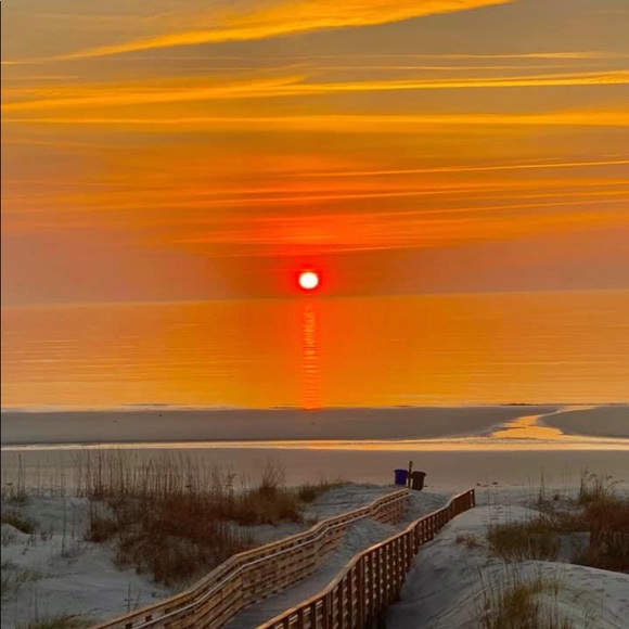 Meet your Posher, Analia - Picture 1 of 1